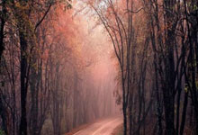 开云体育官网：杨旭：日本足球会把学到好的东西保留下来，并不断进行变革.