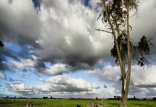 开云体育官网：32金27银26铜！亚冬会中国代表团以历史最佳战绩收官央视新闻客户端.