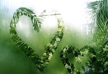 开云体育官网：哈利伯顿助溜马复仇凯尔特人 魔术逆转胜网队.