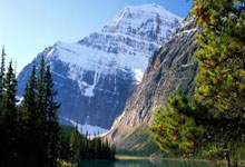 开云体育官网：国安海报暗藏玄机，一细节处官宣塞尔吉尼奥归化成功.